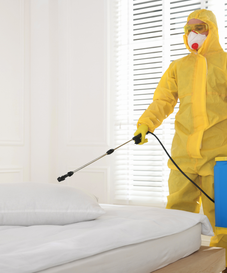 Professional Pest Control Team in Ashford